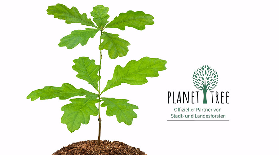 Planet tree